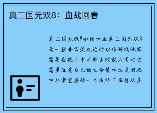 真三国无双8：血战回春